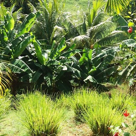 Les Orchidees Apartment Petit-Bourg Ngoại thất bức ảnh